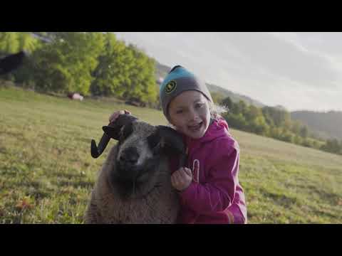 Zútulnění lesního klubu Ostrov přírody