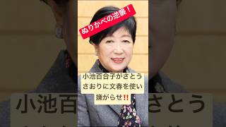 小池百合子が文春を使いさとうさおりに嫌がらせ取材で逆襲‼️陰湿な女の争い❗️