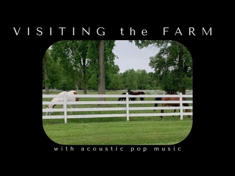 a day at the farm (summer ambiance, horses, nature, blue skies, acoustic pop music)