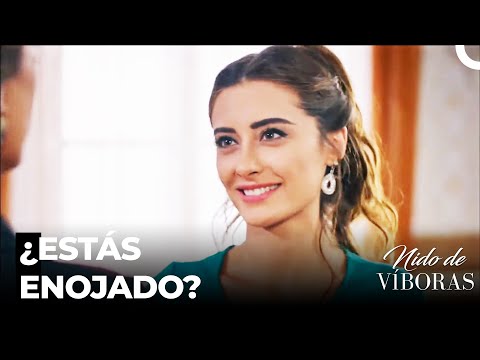 Actitudes Molestones De Elvan - Nido De Víboras