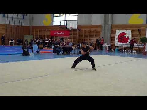Sami Ben Mahmoud - Traditional Fist Form- Swiss Wushu Championships 2017