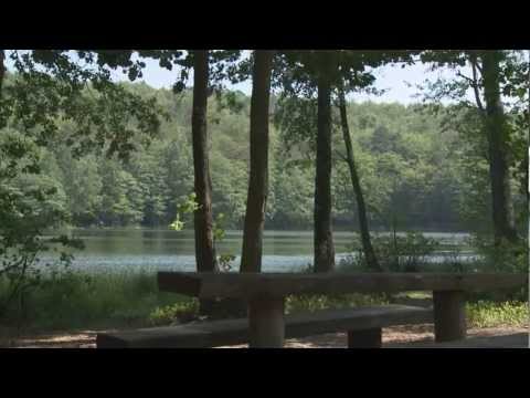 Wideo - Jezioro Dobre - YouTube