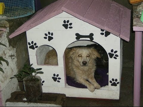 BIBI & PELUCHE MIS MASCOTAS!