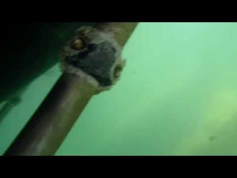 Flying Dutchman 12/15/13