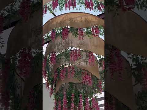 Wedding Decorator portfolio by Eventi 5 in Surat - Photo 3 Wedding Decorator portfolio by Eventi 5 in Surat - Photo 3