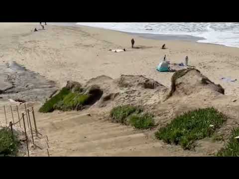 Half Moon Bay state beach- ( @SyedaFatima-home )