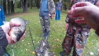 Ссылка