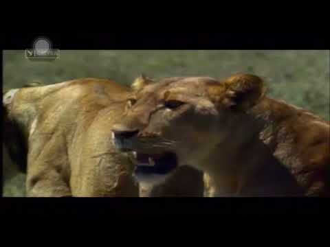 Luanet 3 - Dokumentar Shqip HD Natyra