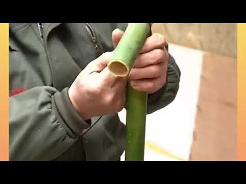 Walking stick for Grand ma #shorts