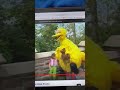Sesame Street Get Up And Dance Fast Forward