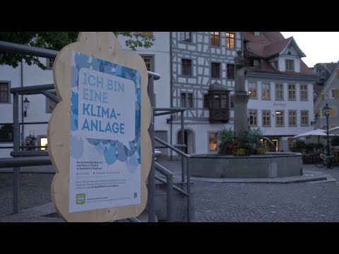 Bäume als Klimaanlage