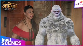 Download lagu Naagin S6 | Mahek Is Haunted By A Yeti! | Colors TV mp3