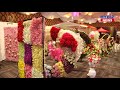 Tent Decor & Catering India