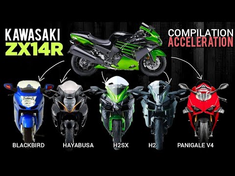 ZX14R 🆚️ Super Blackbird 🆚️ Hayabusa 🆚️ Ninja H2 SX 🆚️ Ninja H2 🆚️ Panihale V4 | Acceleration