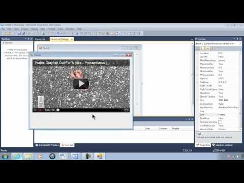 Visual Basic 2010 Express Tutorial 46 - Playing YouTube Videos With WebBrowser And Parameters