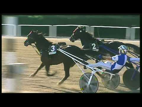 Trotto 09/10/2020 - 5ª corsa