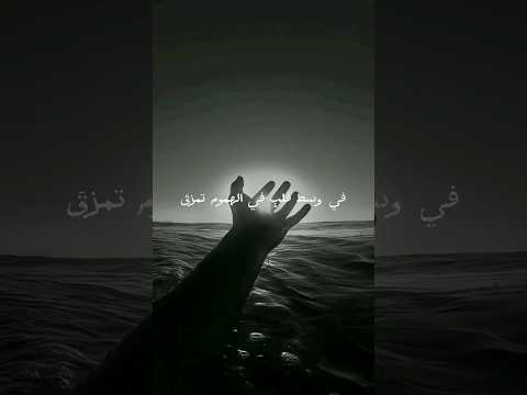 أمل تالق وارتقى "ايمي هيتاري"[بدون موسيقى]