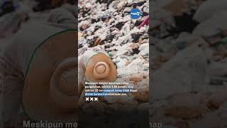 Download lagu Sampah Tak Bisa Diolah Bertambah 15 Ton Per Hari mp3