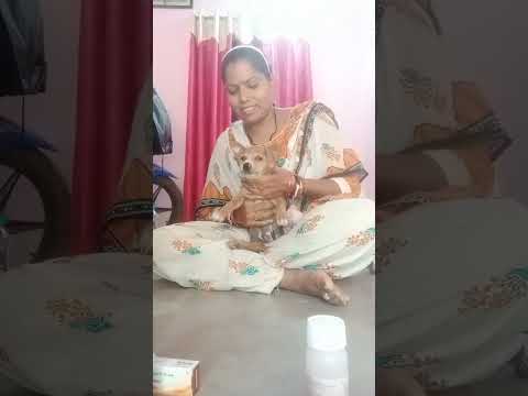 puppy ra goda jai jaichi 😭😭😭😭😔😔