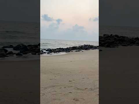 Kerala trip#ytshorts#ytvideo#kerala#beach#sunset#pazhampori#trending#foryou#everyone#ghibli