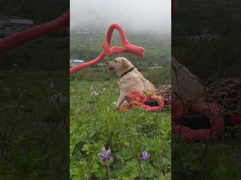 Handmade Mufflers. #muffler #woolens #handmadeinindia #handmade #handmadewithlove