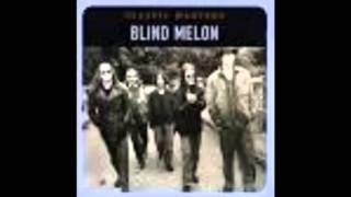 Life Ain&#39;t So Shitty by Blind Melon