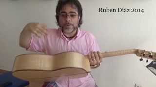 The Evolution of The Flamenco Guitar as an Instrument/It's Enrichment in post-Paco de Lucia's era