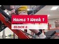 DVTV: Block 2 Hams 1 Wk 1