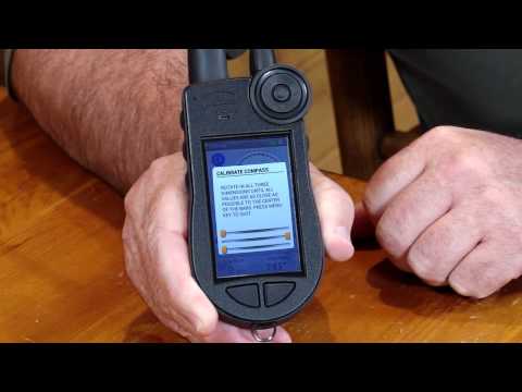 sportdog training video