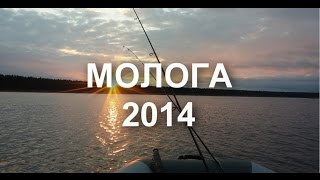 preview picture of video 'Молога 2014'