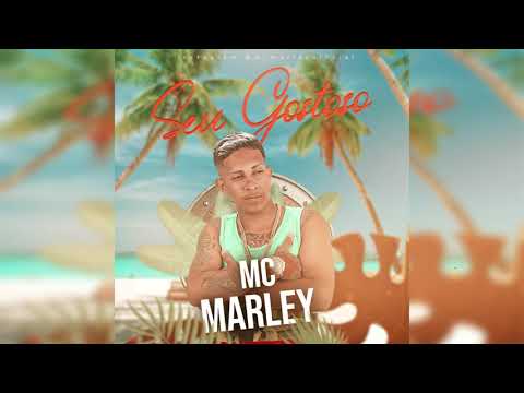 MC MARLEY E MC KA DE PARIS - SEU GOSTOSO - PRA PAREDÃO 2020