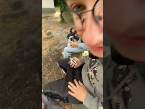 Frankfurt Hbf be like xD #frankfurt #druff #memes #deutschland #deutschememes #spass #ffm #berlin