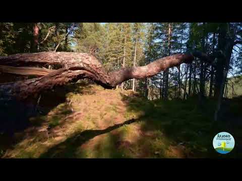 Åfjord Diskgolfpark - Banepresentasjon (10-18) (lang)