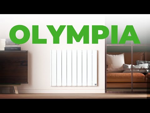 Radiateur électrique à inertie sèche 2000W connecté WiFi - noir - Olympia ROINTE