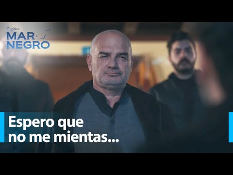 Fikret se entera la mentira de Vedat - Mar Negro Capítulo 137 | Fugitiva