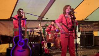 The Accidentals - Chekhov's Gun - Meadowgrass - May 27, 2017