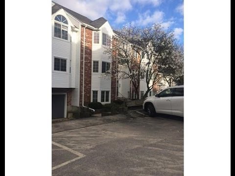 Homes for rent - 117 Tall Oaks Drive F, Weymouth, MA 02190