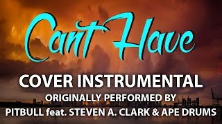 Can&#39;t Have (Cover Instrumental) [In the Style of Pitbull feat. Steven A. Clark &amp; Ape Drums]