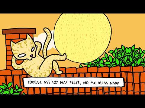 Lashe x BVNKZ - Ma Feli [Lyric Video]