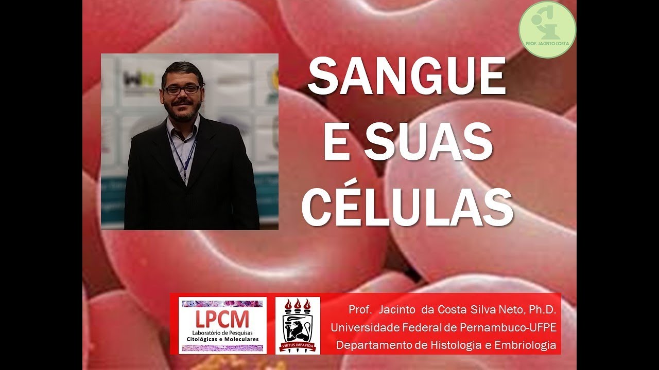8-Sangue e suas células (histologia). Nível graduação.