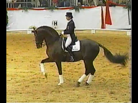 Donnerhall - Legendary oldenburg stallion (Damon Hill, Digby, Donnperignon)