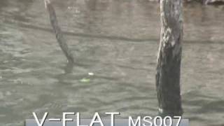 Miniature de la vidéo Nage du leurre Megabass Super V Flat