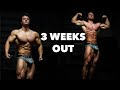3 WEEKS OUT | ROAD TO IFBB PRO