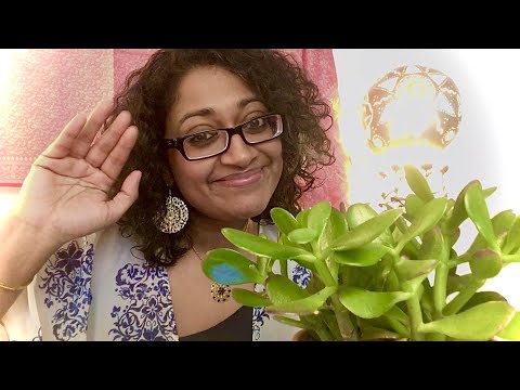 (BIX)ology #01 - Practice Makes Progress