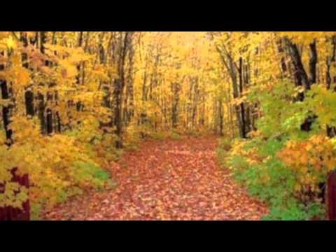 GÖKTAN : MEVSİMLERDEN SONBAHARDAYIM..