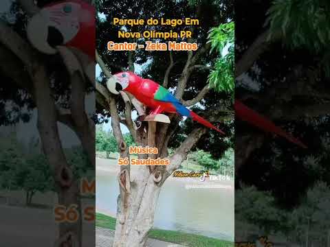 Nova Olímpia Paraná.