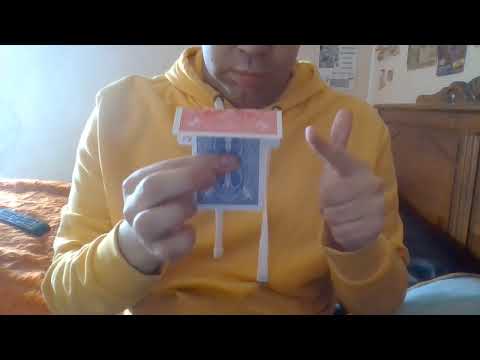 MELT CARD - DAYTONA MAGIC