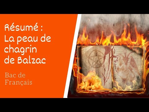 download lagu mp3 mp4 La Peau De Chagrin Rsum, download lagu La Peau De Chagrin Rsum gratis, unduh video klip La Peau De Chagrin Rsum