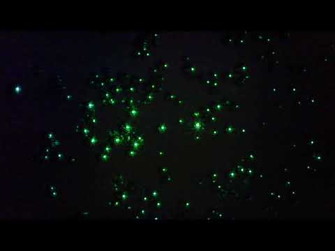 2018. PMMA microsphere WGM resonators on microscope slide. Temperature changes.