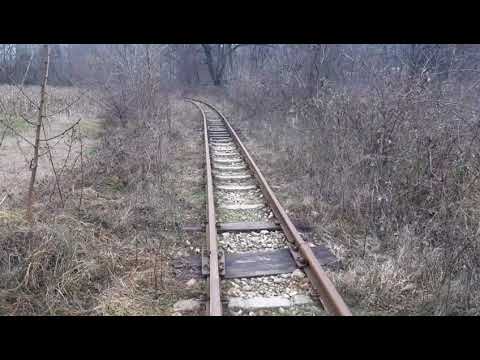 87-0053 izolat prin Genuneni cu direcția Govora